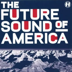 Various Artists - Future Sound Of America - LP Vinyl