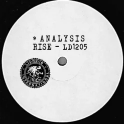 Rise - Analysis - 12" Vinyl