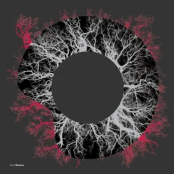 Dom & Roland - Fever Nights / Stingray - 12" Vinyl