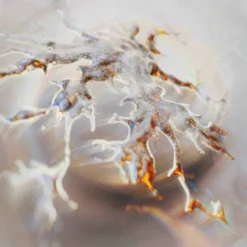 Kessler - Lunar - 12" Vinyl